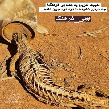 متن با عکس درباره بی فرهنگی