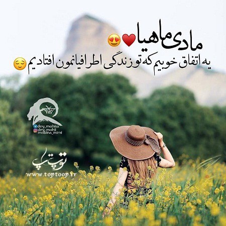 عکس نوشته کیا دی ماهی هستن