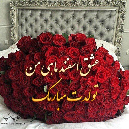 عشق اسفند ماهی من تولدت مبارک