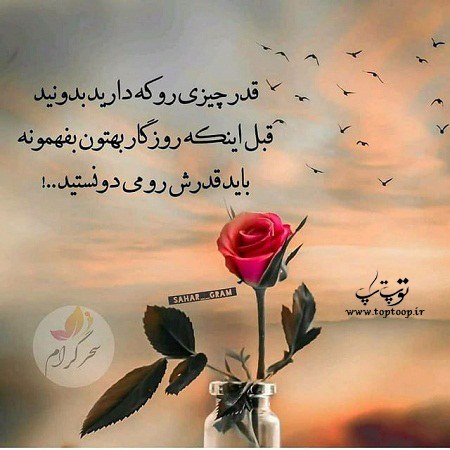 عکس نوشته قدر همدیگر را بدونیم