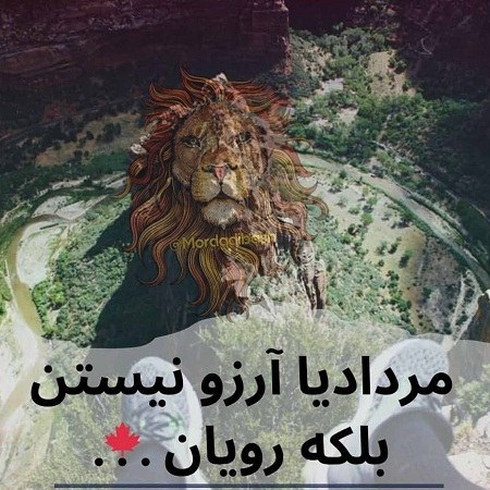 عکس واسه مرداد ماهیا