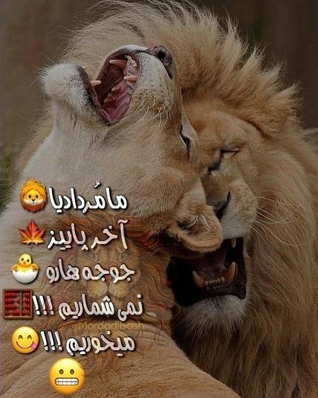 عکس نوشته ما مردادیا