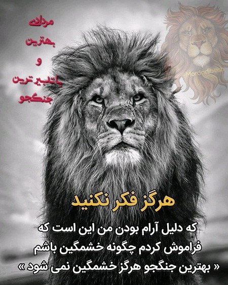 عکس نوشته مردادی بهترین