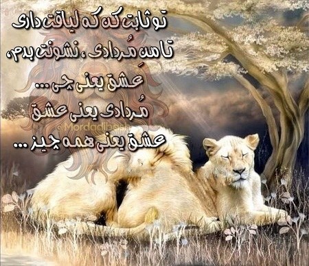 تصاویر مردادی ها