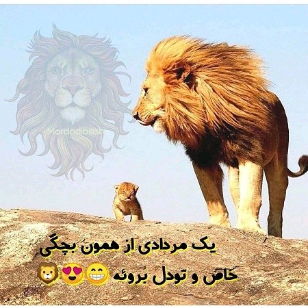 عکس نوشته یک مردادی