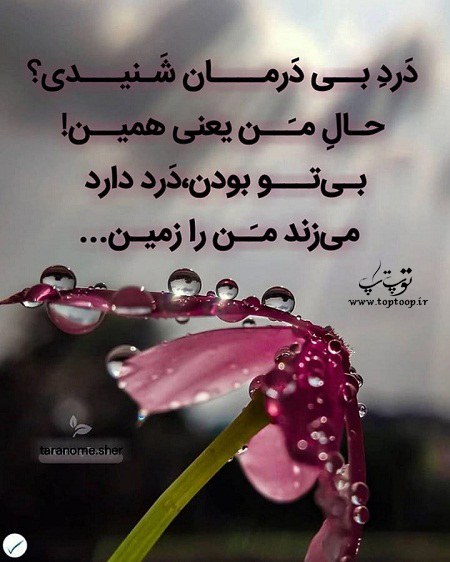 عکس نوشته گلایه از خودم