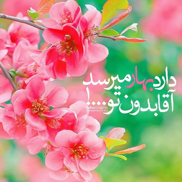عکس نوشته رسیدن بهار بدون امام زمان عکس نوشته رسیدن بهار بدون امام زمان