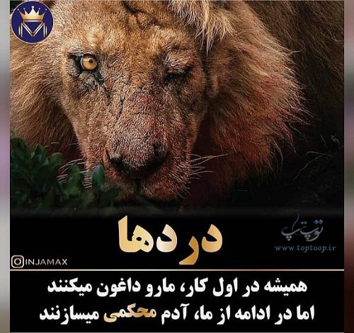 عکس نوشته انگیزشی قوی بودن در زندگی