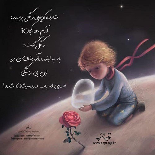 عکس نوشته شازده کوچولو و گل