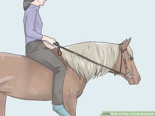 اسب سواری بدون زین