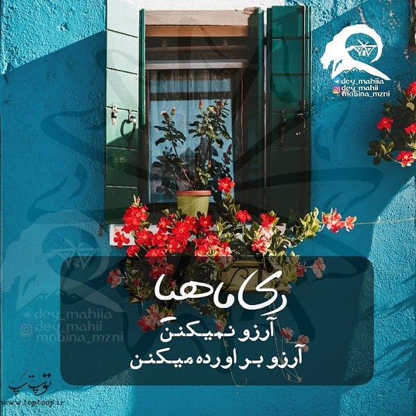 عکس نوشته دی ماهی ها