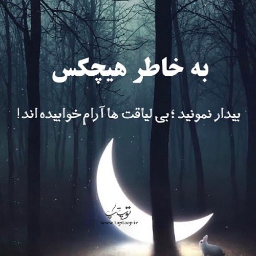 عکس نوشته بی لیاقت ها