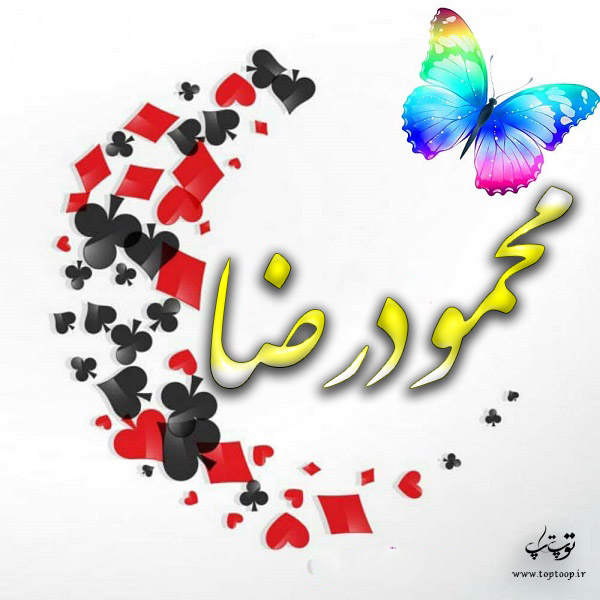 دانلود عکس نوشته اسم محمودرضا