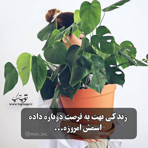 جملات زیبا و کوتاه درباره فرصت دوباره