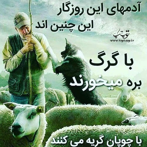 عکس نوشته برای نامردی روزگار