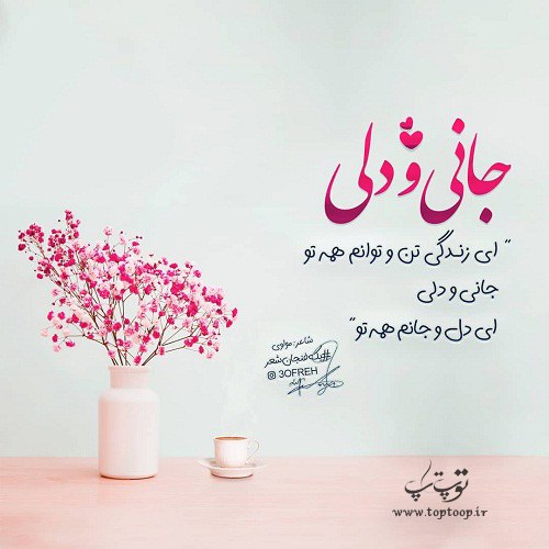 یه آقایی دارم عکس