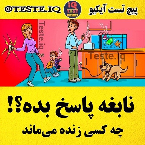 معما های هوش