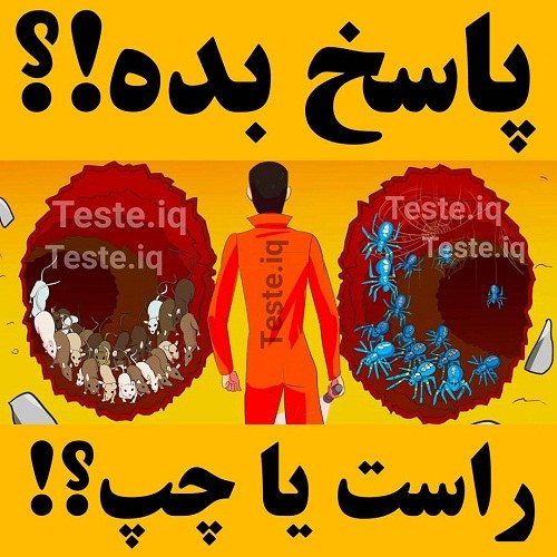 عکس معما دار پاسخ بده