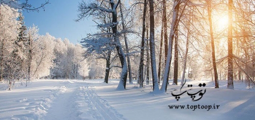 جملات زیبای انگلیسی درباره زمستان با معنی (2)