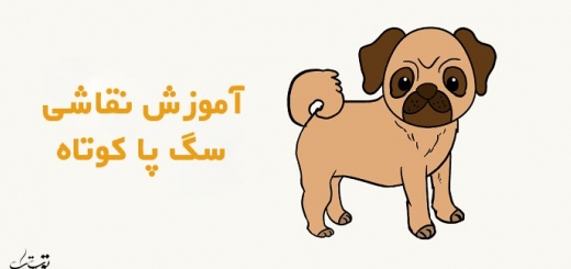 آموزش گام به گام نقاشی سگ پاکوتاه