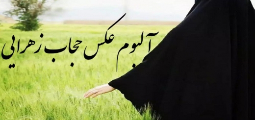 عکس پروفایل حجاب زهرایی بدون متن