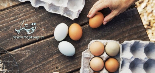 تخم مرغ سفید در برابر تخم مرغ قهوه‌ای – آیا تفاوتی با هم دارند؟